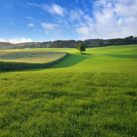 Vakantiehuis Attractive In South Limburg